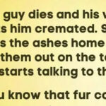 This guy dies and his wife gets him cremated.