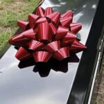 A Coffin with a Gift Bow Was Brought to Our Wedding During the Ceremony — I Nearly Fainted When It Opened