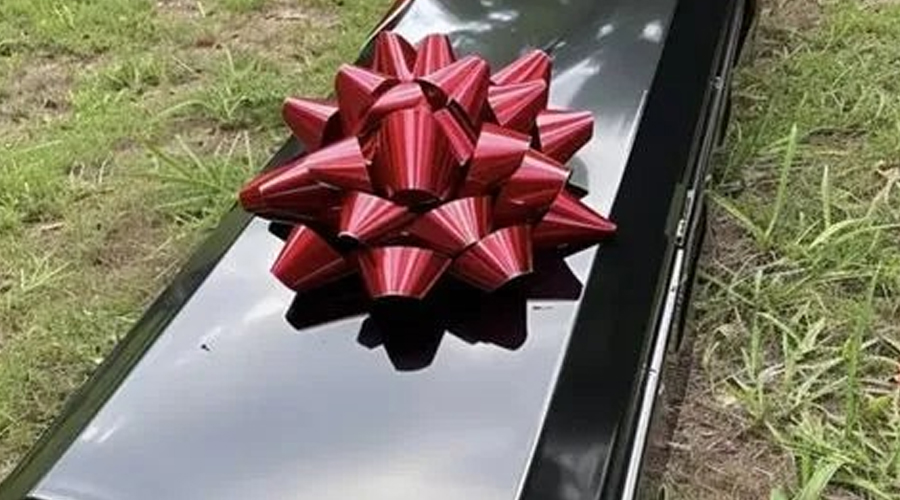 A Coffin with a Gift Bow Was Brought to Our Wedding During the Ceremony — I Nearly Fainted When It Opened