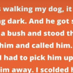 9 Stories That Prove Pets Are Way Smarter Than We Think