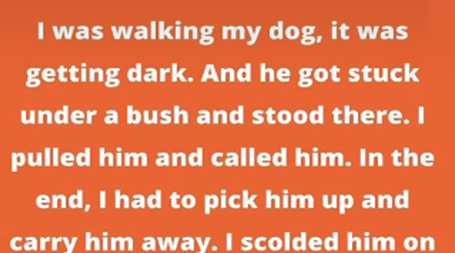 9 Stories That Prove Pets Are Way Smarter Than We Think