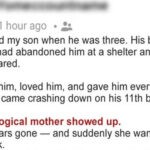 My Son’s Biological Mother Showed Up on Our Doorstep 8 Years After Abandoning…