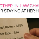 My Future MIL Sent Me a Bill for Staying at Her House, but Karma Made Sure She Paid Even More — Story of the Day