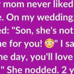 My mom never liked my wife. When I told her I was getting married…