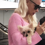Entitled Dog Owner Made the Airport Hell for Everyone She Deserved What I Did at the Gate