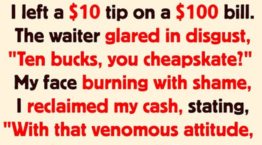 The Waiter Humiliated Me in Front of Everyone So I Fought Back
