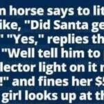 Did Santa get you that?