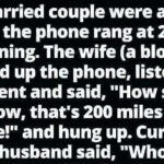 “Midnight Call Confusion That Will Leave You in Stitches!”