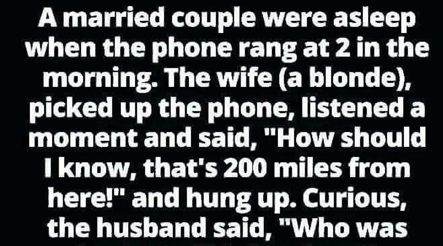 “Midnight Call Confusion That Will Leave You in Stitches!”