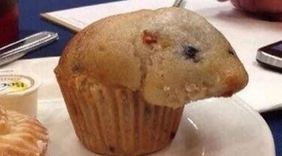 24 Pictures That Need A Second Look