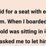 I Refused to Give Up My Plane Seat for a Child and Faced Backlash