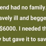 10 Stories That Prove Kindness Can Build Bridges Across Seas