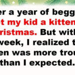 13 People Who Played Santa and Created More Chaos Than Cheer