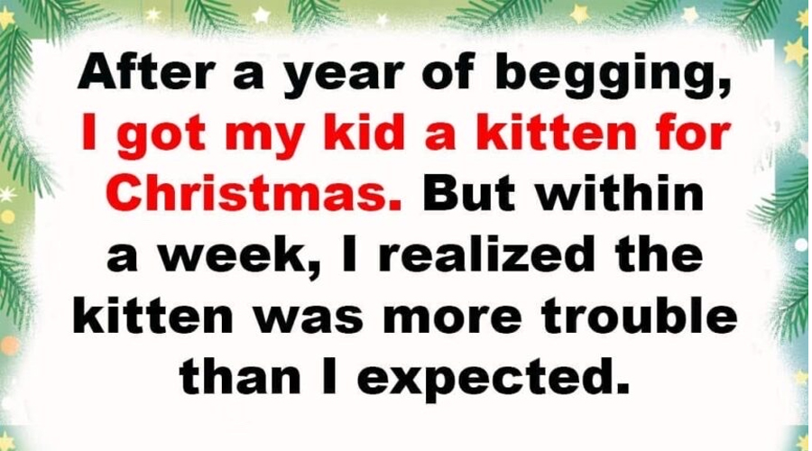 13 People Who Played Santa and Created More Chaos Than Cheer