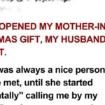 I Opened My Mother-in-Law’s Christmas Gift & My Husband Kicked Her Out Because of It