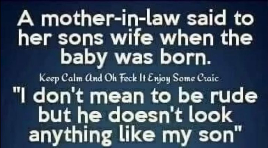 A Mother-in-Law Moment to Remember The Unexpected Retort That Sparked Laughter