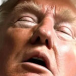 DONALD TRUMP BREAKING NEWS…