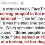 Entitled Dog Owner Made the Airport Hell for Everyone – She Deserved What I Did at the Gate
