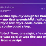 My Daughter Banned Me from Seeing My Grandchild Because Her Husband Doesn’t Want ‘Single Mom Influence’ in Their Home