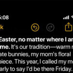 I Called My Parents Before Easter to Say I’d Be Visiting — But My Mom Said I No Longer Had a Family