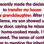 An Inheritance Feud Is Shattering Our Family
