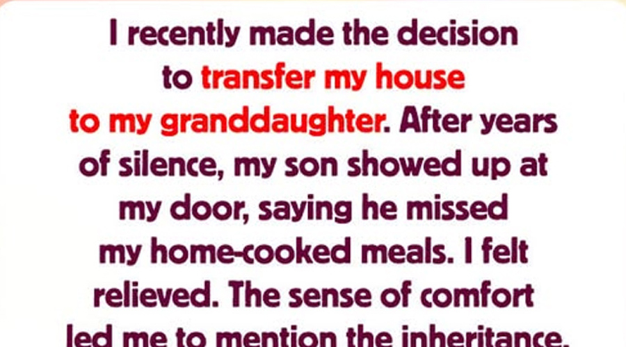 An Inheritance Feud Is Shattering Our Family