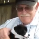 Abandoned Puppy Becomes the Answer to a Grieving Old Man’s Prayers