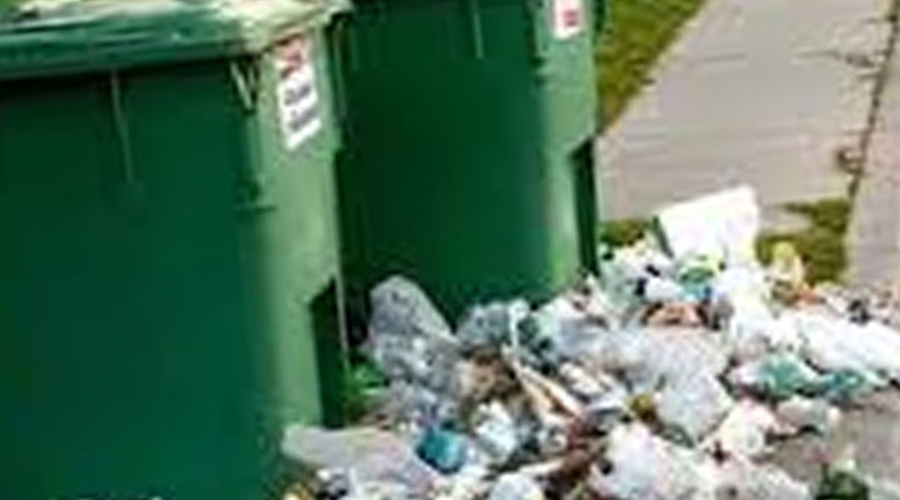 Neighbor Kept Knocking Over My Trash Bins After 3 HOA Fines, I Taught Him a Lesson in Politeness…