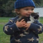 My toddler found a kitten on the farm—and what was tied around its neck changed everything