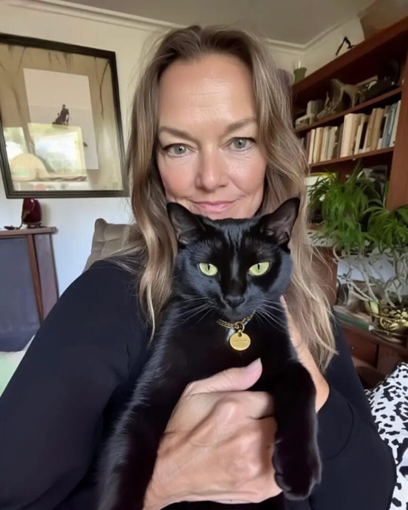 I Came Across a Cat with an ID Tag in My Garden — After Calling the Number, I Turned Down $100,000, but Found Happiness
