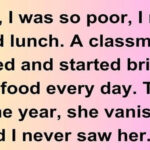 11 True Stories That Prove Kindness Can Light the Darkest Paths