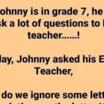 Little Johnny Asked A Lot Of Questions To His Teacher