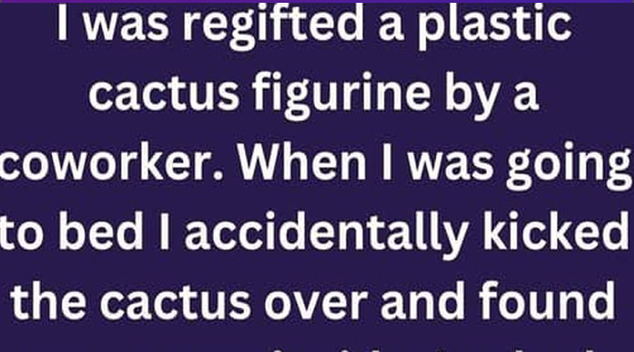 Regifted Cactus Reveals Unwanted Surprise