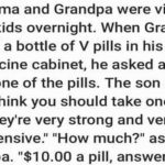 Story: Grandma and Grandpa were visiting their kids overnight