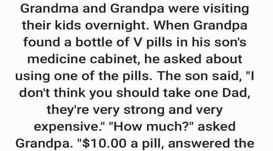 Story: Grandma and Grandpa were visiting their kids overnight