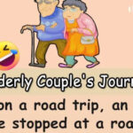 Elderly Couple’s Journey