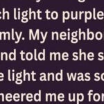 The True Meaning Behind Purple Porch Lights