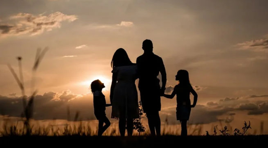 My Dog Wouldn’t Stop Howling When the Kids Left with My Mother-in-Law – I Had to See Why