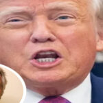 Understanding the Recent Claims Involving Trump, Epstein, and Elon Musk