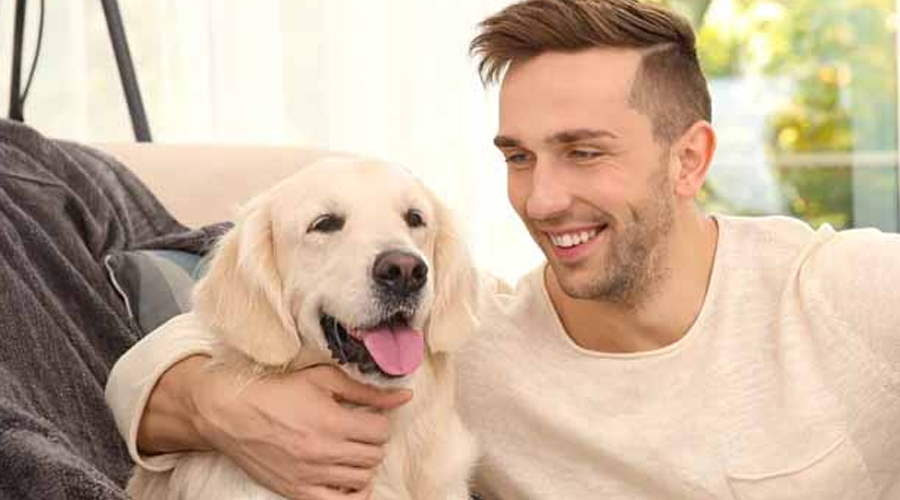 My Entitled Ex Stole My Dog That Helped Me Heal – So I Made Her Regret It with One Move