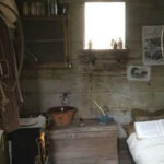 THIS OLD CABIN WAS THE ONLY INHERITANCE I GOT FROM MY GRANDPARENTS—AND IT MADE ME RICHER THAN I EVER IMAGINED
