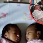 I Went to Pick Up My Wife and Newborn Twins from the Hospital — I Found Only the Babies and a Note